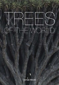 Picture of Trees of the World