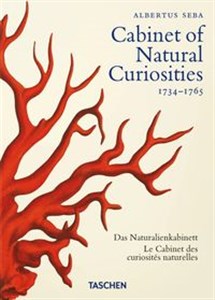 Picture of Seba. Cabinet of Natural Curiosities. 40th Ed.
