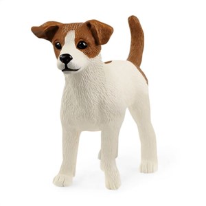 Obrazek Jack Russell terrier SLH13916