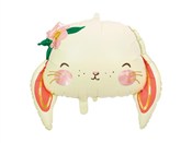 Książka : Balon foli...