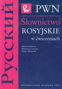 Słownictwo... - Albina Gołubiewa, Walentyna Czeczuga, Paulina Węcławiak -  books in polish 