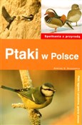 polish book : Ptaki w Po... - Andrzej G. Kruszewicz