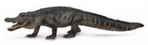 Picture of Aligator