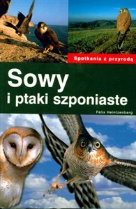 Picture of Sowy i ptaki szponiaste