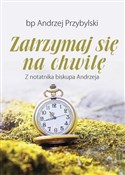 polish book : Zatrzsymaj... - Andrzej Przybylski