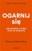 Ogarnij si... - Damon Zahariades -  books from Poland