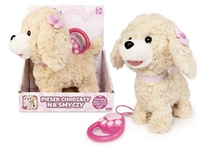 Obrazek Piesek chodzący na smyczy mix