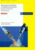 Bosch Ster... -  books in polish 