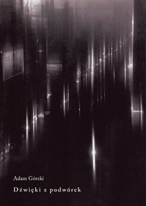 Picture of Dźwięki z podwórek