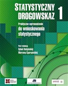 polish book : Statystycz... - Sylwia Bedyńska