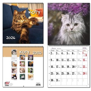 Obrazek Kalendarz 2026 30x60 13 planszowy Koty