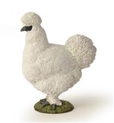 Kura jedwa... -  Książka z wysyłką do UK