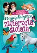 Najpięknie... - Wiesław Błach -  Polish Bookstore 
