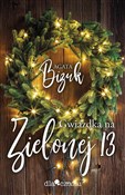 Gwiazdka n... - Agata Bizuk -  books from Poland