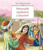 polish book : Niezwykłe ... - Ewa Musiorska