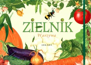 Picture of Zielnik Warzywa