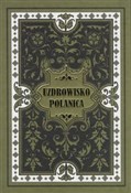 polish book : Uzdrowisko... - Georg Hoffmann