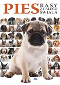Pies Rasy ... - Opracowanie Zbiorowe -  Książka z wysyłką do UK