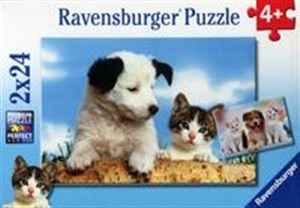 Picture of Puzzle Prawdziwi przyjaciele 2x24