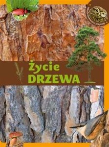 Picture of Życie drzewa