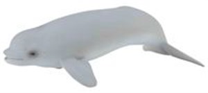 Obrazek Wieloryb Beluga młode (morskie - M)