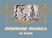 Uzdrowisko... -  foreign books in polish 