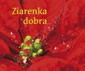 Obrazek Perełka 173 - Ziarenka dobra