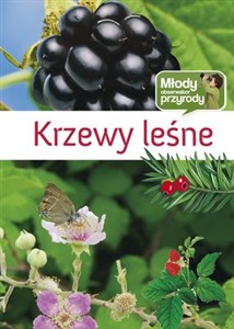 Obrazek Krzewy leśne