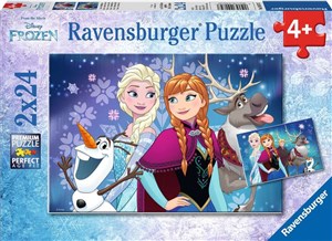Obrazek Puzzle Frozen Zorza polarna 2x24