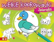 Wielkie ko... - Opracowanie Zbiorowe -  Polish Bookstore 