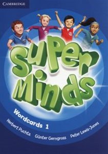 Obrazek Super Minds Wordcards 1 Pack of 90