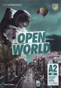 Polska książka : Open World... - Frances Treloar