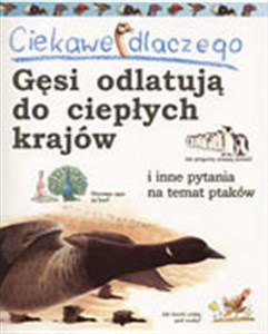 Picture of Ciekawe dlaczego gęsi odlatują