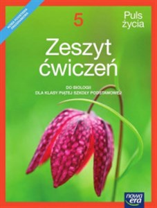 Picture of Puls życia 5 Zeszyt ćwiczeń Szkoła podstawowa