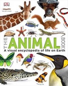 Obrazek The Animal Book