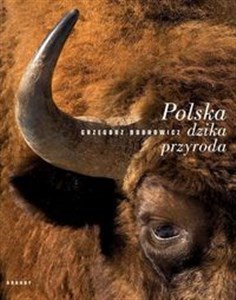 Picture of Polska dzika przyroda