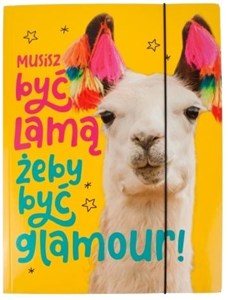 Picture of Teczka A4 z gumką AleJakTo-02