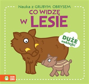 Obrazek Nauka z grubym obrysem Co widzę w lesie