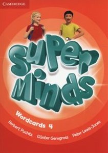 Obrazek Super Minds Wordcards 4 Pack of 89