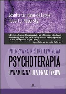 Picture of Intensywna krótkoterminowa psychoterapia dynamiczna dla praktyków