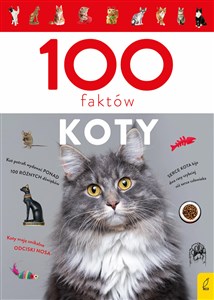 Picture of 100 faktów Koty