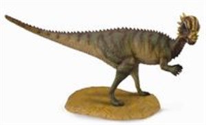 Picture of Dinozaur Pachycephalosaurus