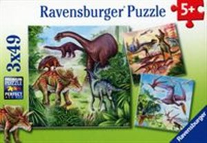 Picture of Puzzle Dinozaury 3x49