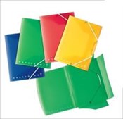 polish book : Teczka z g...