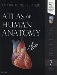 Obrazek Atlas of Human Anatomy 7th Edition