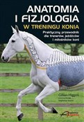 Polska książka : Anatomia i... - Gillian Higgins