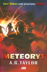 Obrazek Meteoryt