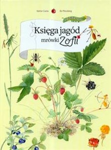Picture of Księga jagód mrówki Zofii