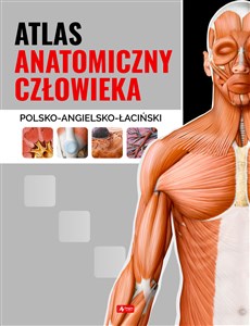 Obrazek Atlas anatomiczny człowieka polsko - angielsko - łaciński