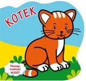 Kotek Dlac... - Urszula Kozłowska -  books from Poland